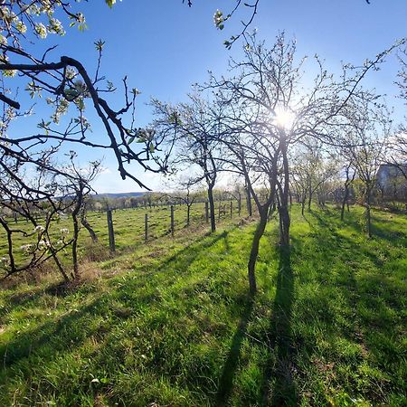 Potecarii Villa Novaci-Străini Kültér fotó