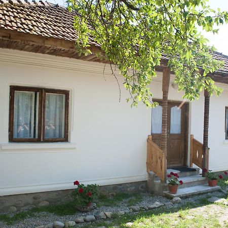 Potecarii Villa Novaci-Străini Kültér fotó