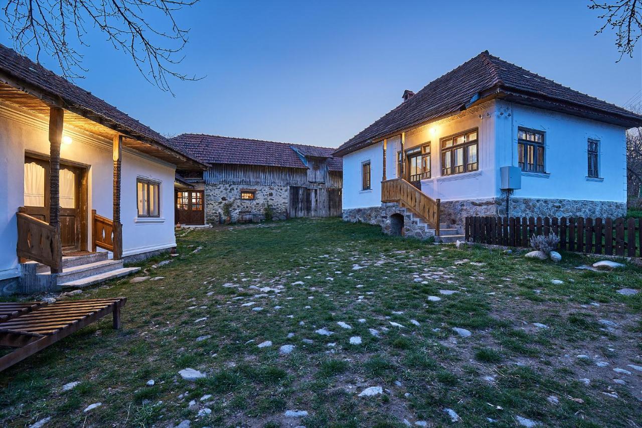 Potecarii Villa Novaci-Străini Kültér fotó