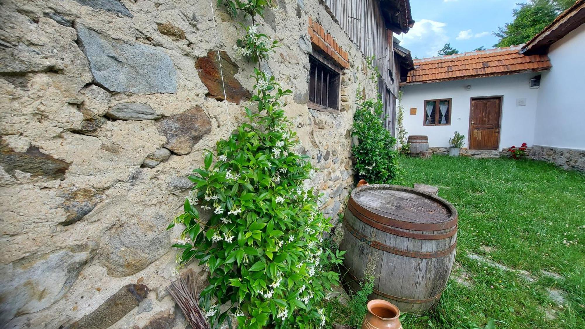 Potecarii Villa Novaci-Străini Kültér fotó