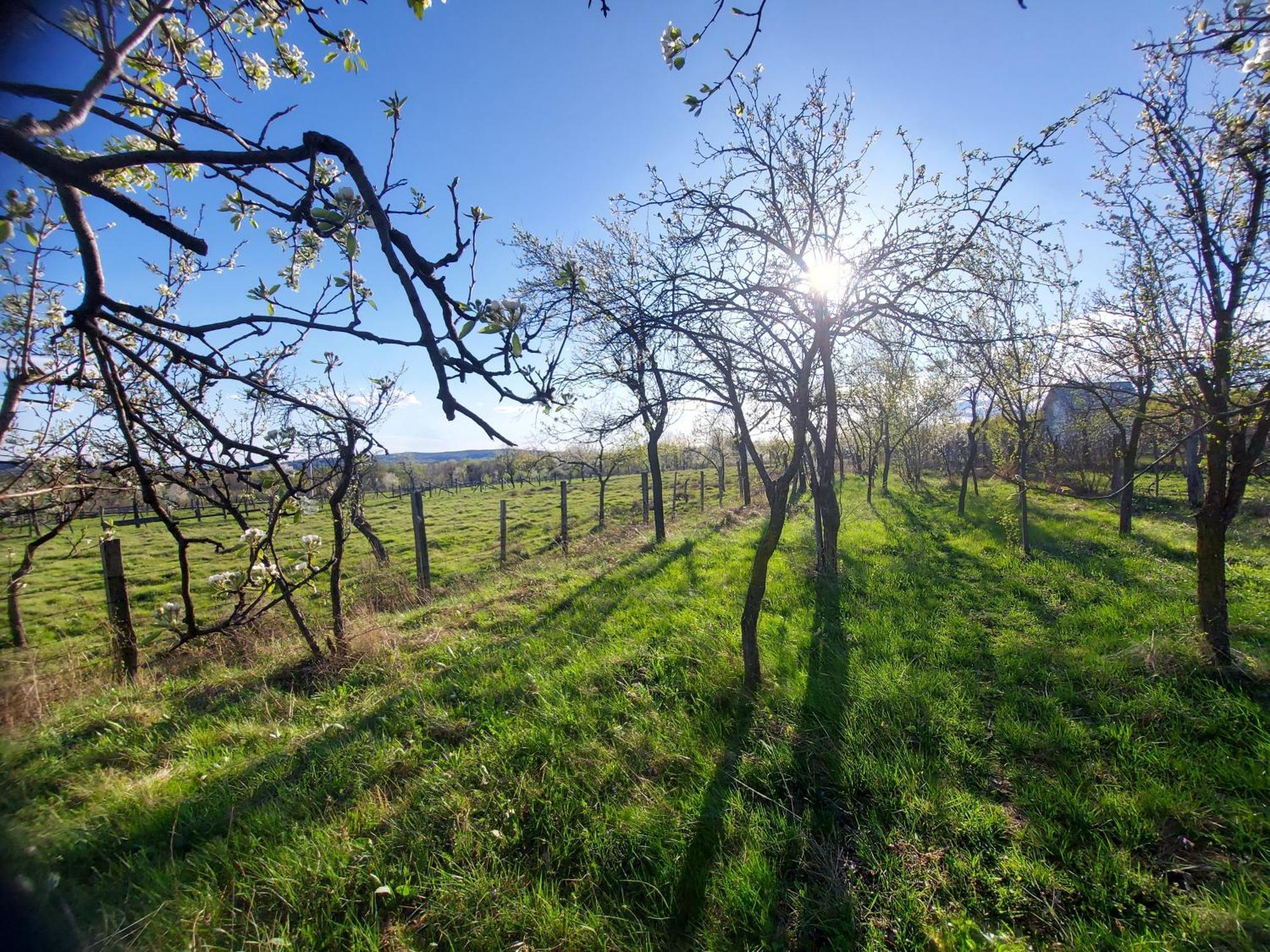 Potecarii Villa Novaci-Străini Kültér fotó